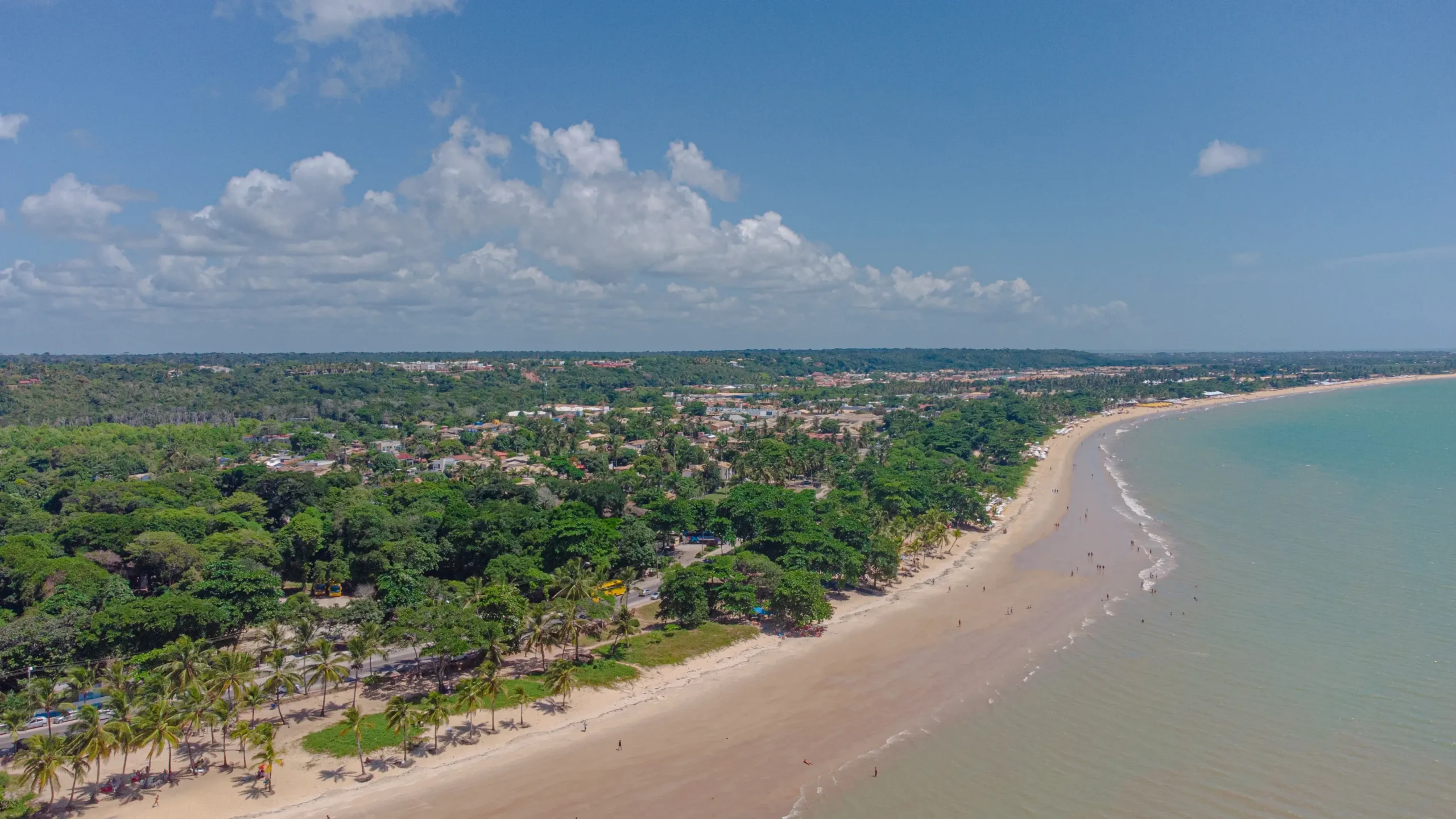DJI_0071 (1)